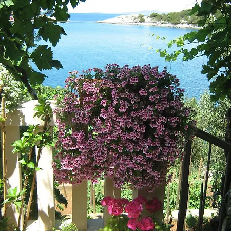 By The Sea Zaklopatica, - 8346